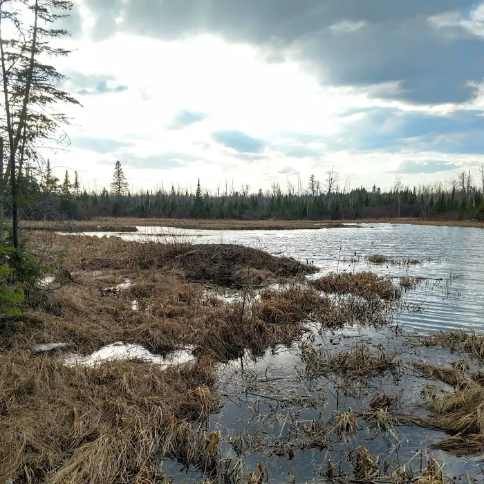 Heron Pond Camp Picture 10
