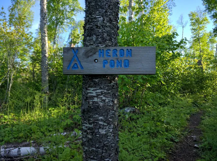 Heron Pond Camp Picture 7