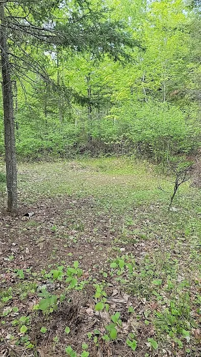 Island lake campsite Picture 5