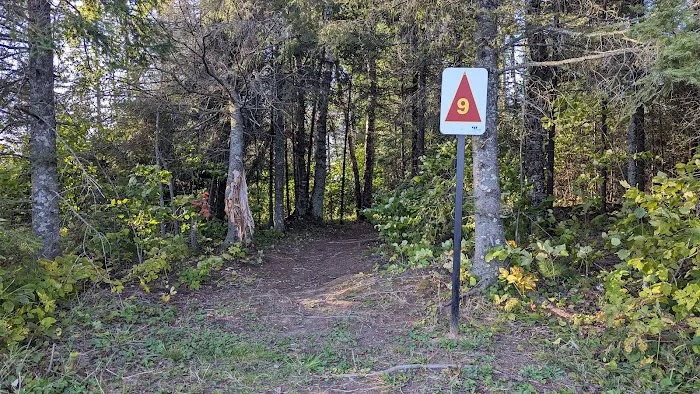 Island Lake Campsite #9 Picture 2