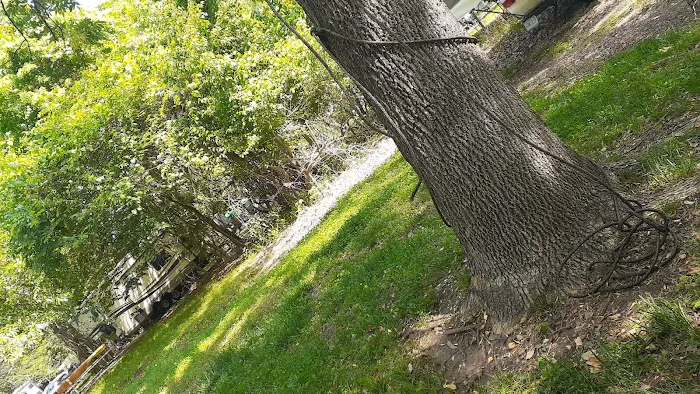 Bucksaw Campground Picture 5