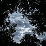 Fort Niagara Campsite