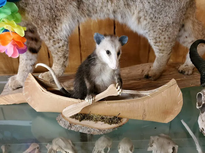 Sawmill Staff Area Picture 9