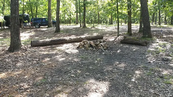 Spruce Campsite Picture 8