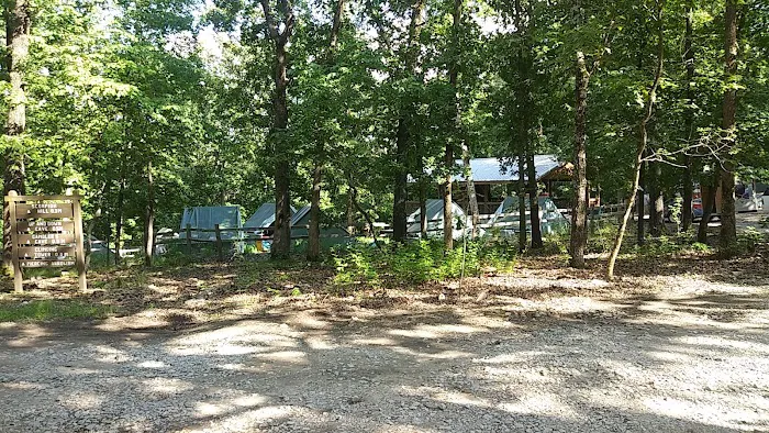 Spruce Campsite Picture 3