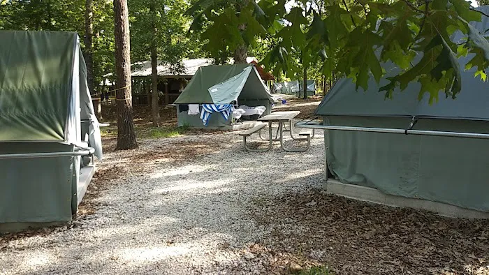 Spruce Campsite Picture 1