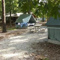 Spruce Campsite ico
