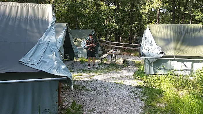 Spruce Campsite Picture 6