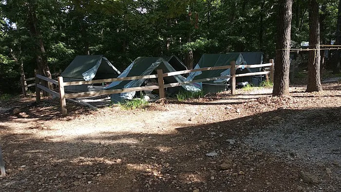 Spruce Campsite Picture 7