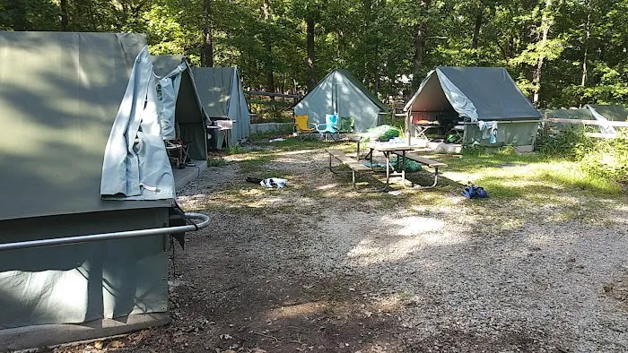 Spruce Campsite Picture 2