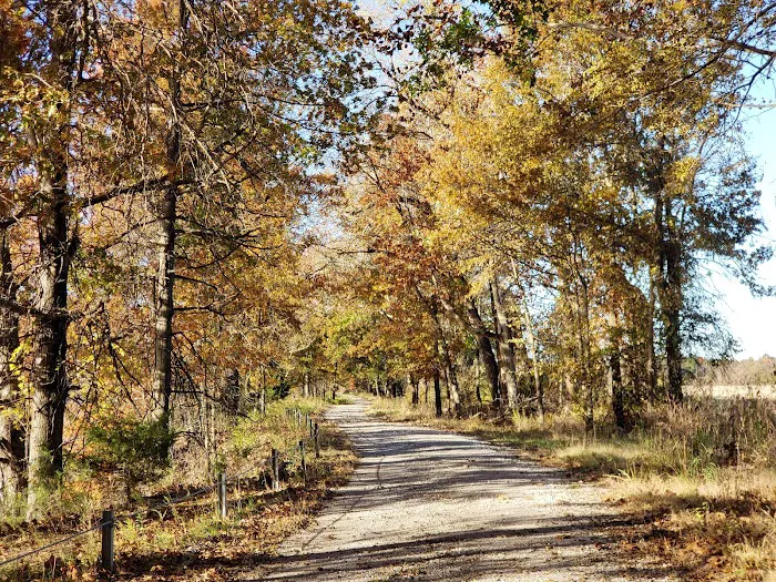 Honey Creek Hideaway Picture 6