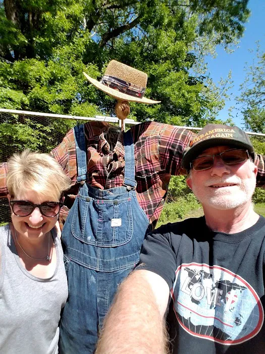 Honey Creek Hideaway Picture 4