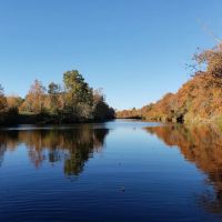 Honey Creek Hideaway ico