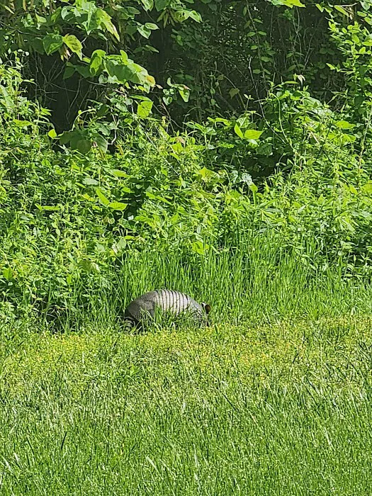 Sparrowfoot Campground Picture 7