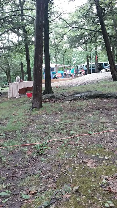 Campbell Point Campground Picture 7