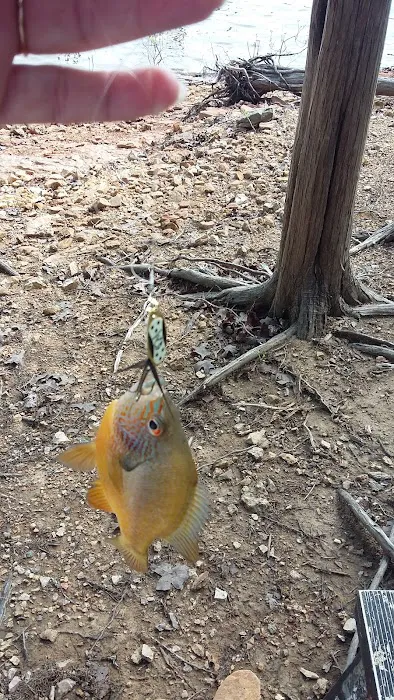 Big Bobber Resort Picture 6