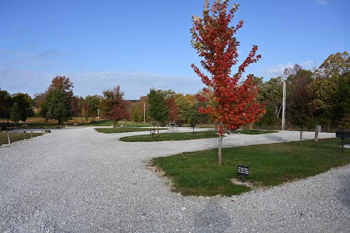 JB Trading Co Picture 2