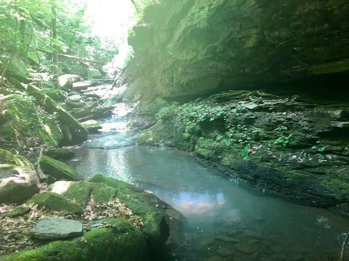 Haw Creek Falls Recreation Area Picture 6