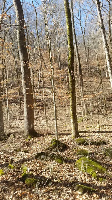 Haw Creek Falls Recreation Area Picture 9