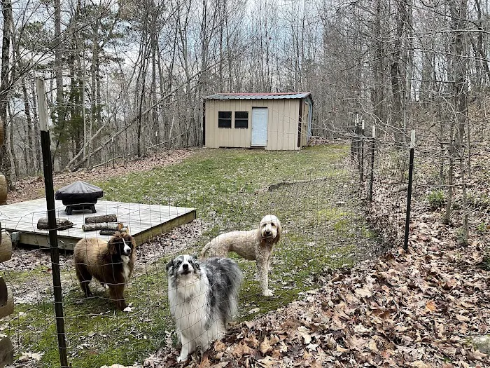 Little Goose Cabin Picture 6