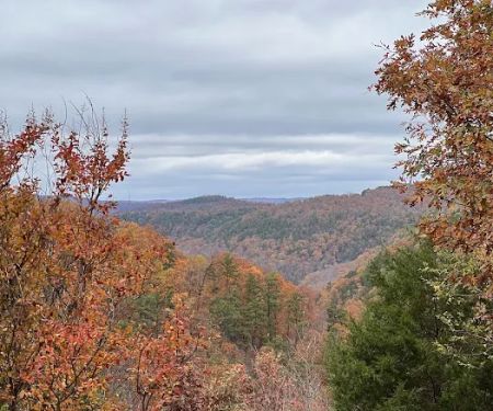 Rocking Chair Ridge cabin
