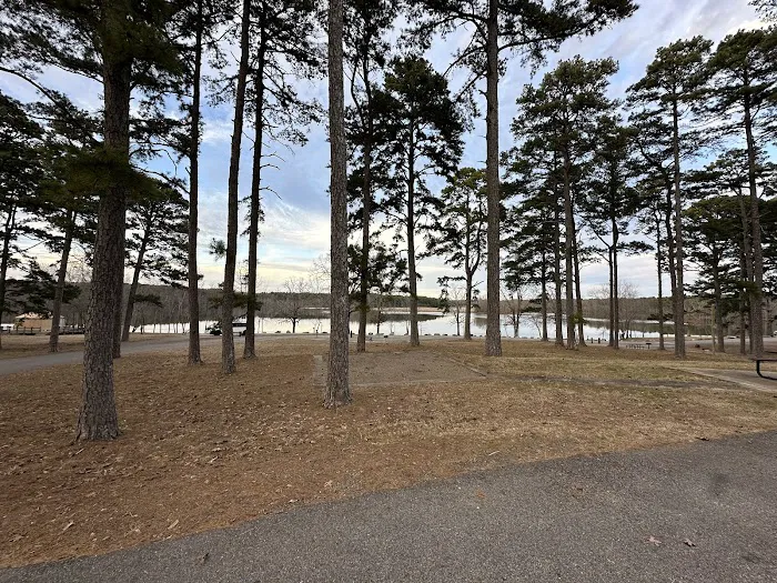 Petit Jean Campground Picture 1