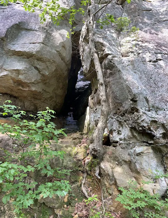 Petit Jean Campground Picture 8