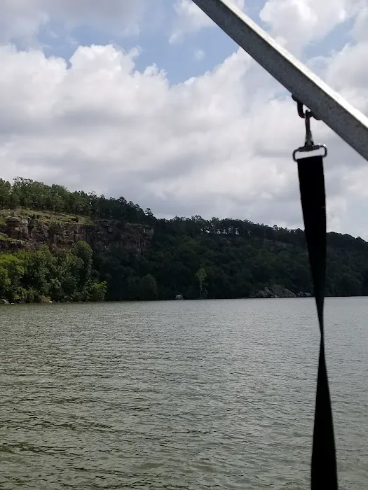 Lake Dardanelle Area Picture 5