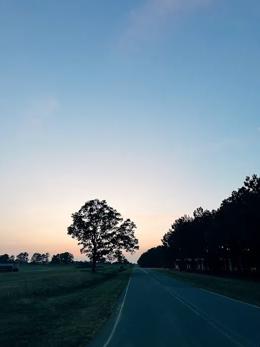 Camp Robinson RV Park Picture 2