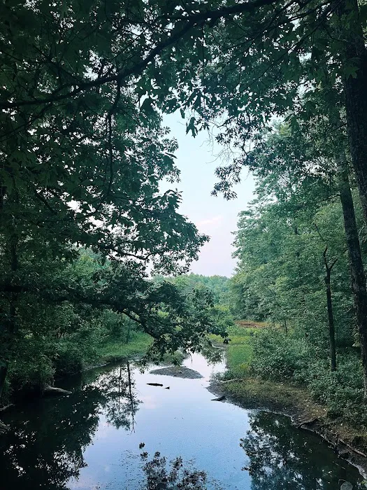 Camp Robinson RV Park Picture 8