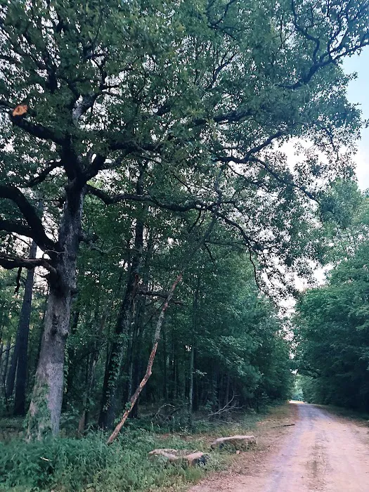 Camp Robinson RV Park Picture 9