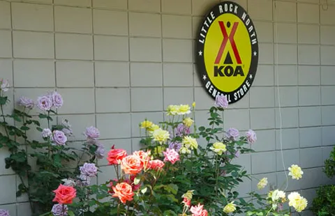 Little Rock North / Jct. I-40 KOA Journey Picture 4