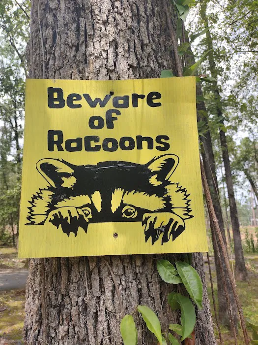 North Little Rock Parks Picture 3