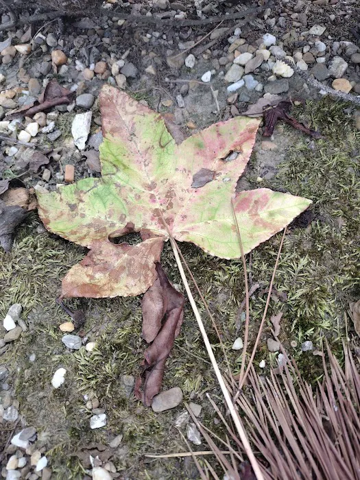 North Little Rock Parks Picture 2