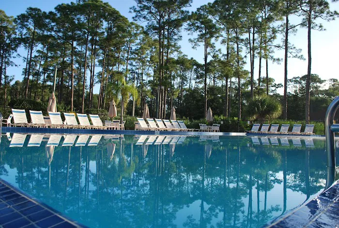 West Palm Beach / Lion Country Safari KOA Journey Picture 3