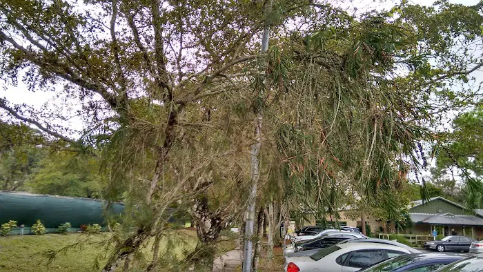 Camp Gan Israel Florida (CGI Florida) Picture 6