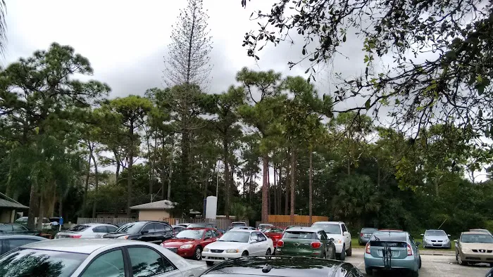 Camp Gan Israel Florida (CGI Florida) Picture 7