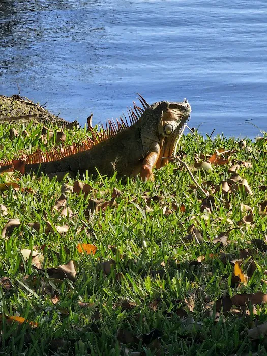 John Prince Park Campground Picture 2