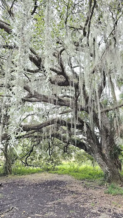 Hammock Campground Picture 6