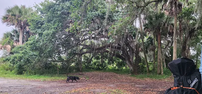 Hammock Campground Picture 7