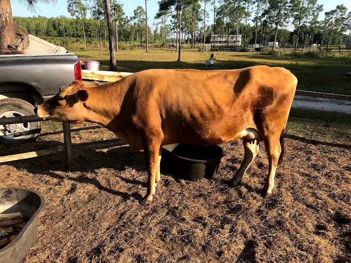 Rancho Vida Boa Agroturismo Picture 1