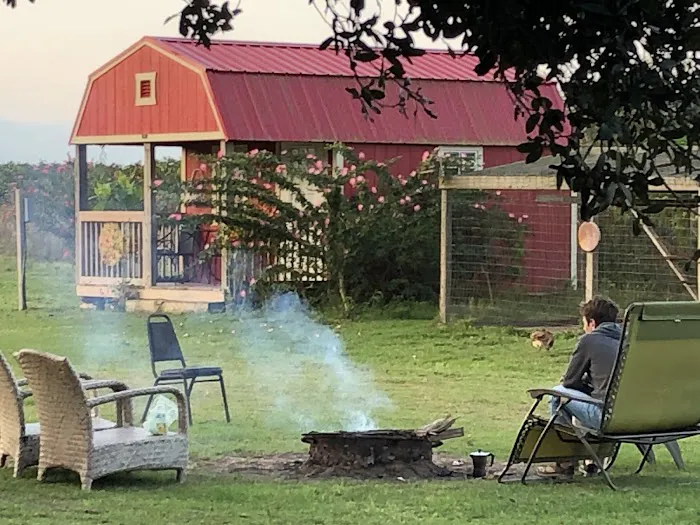 Rancho Vida Boa Agroturismo Picture 3