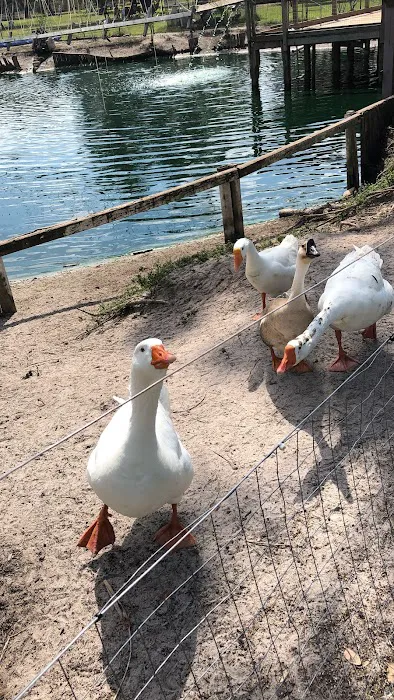 Rancho Vida Boa Agroturismo Picture 6