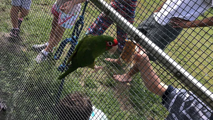 Rancho Vida Boa Agroturismo Picture 8