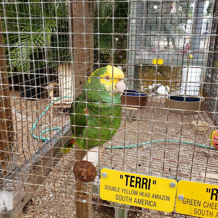 Periwinkle Campground Sanibel Island Picture 4