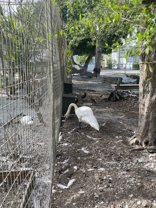 Periwinkle Campground Sanibel Island Picture 8
