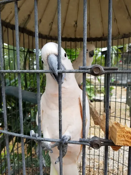 Periwinkle Campground Sanibel Island Picture 5