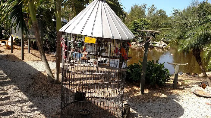 Periwinkle Campground Sanibel Island Picture 9