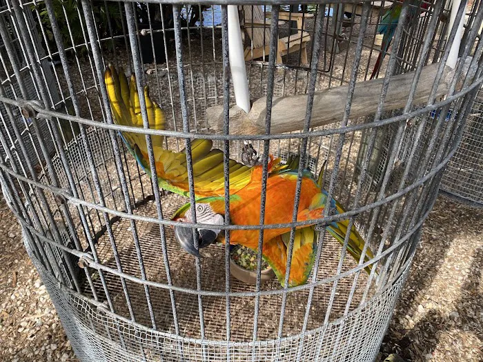 Periwinkle Campground Sanibel Island Picture 1