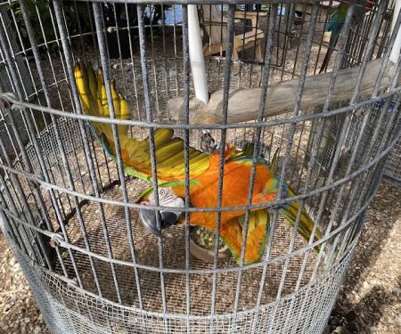 Periwinkle Campground Sanibel Island